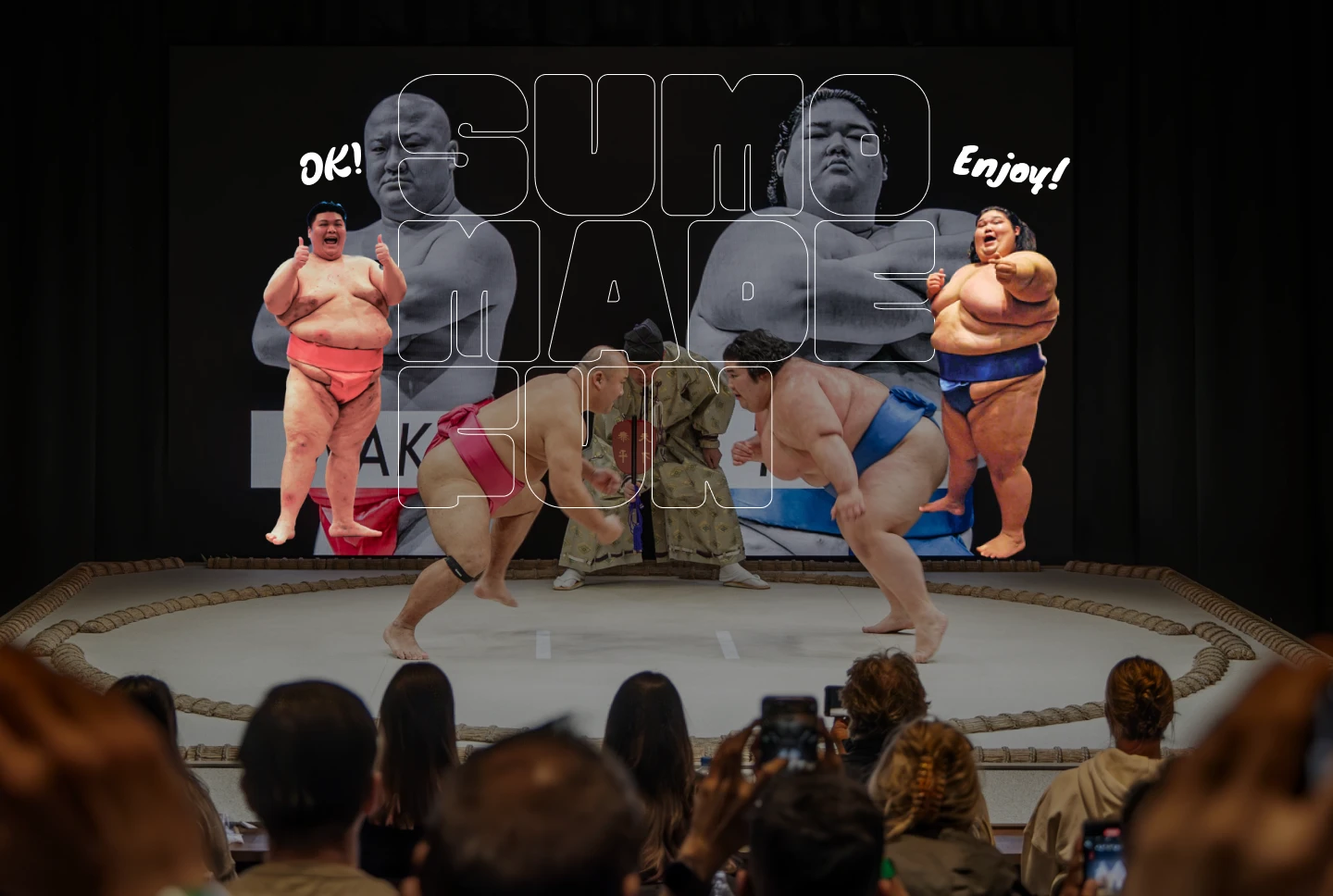 SUMO MADE FUN