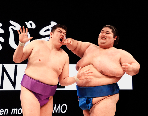 相撲を知る