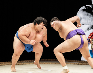 取組を観戦する